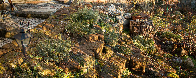 Mein Hortusgarten im Jan. 2020