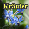 Kräuter im Hortus in Umbra Silvam