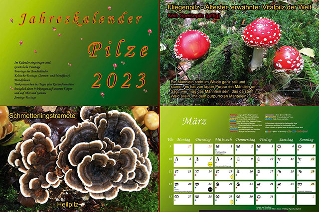 Pilzkalender